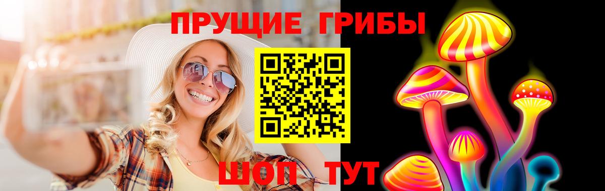 Орёл  Псилоцибиновые грибы GOLDEN TEACHER  Псилоцибиновые грибы Magic Shrooms  Вход с VPN 